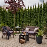 Чугунный очаг S - серия 60 10092 - фото 2794