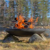 Чугунный очаг А - серия 80 10036 - фото 2820